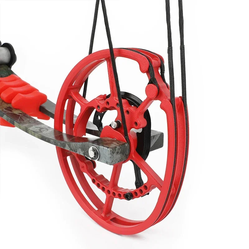 30-60lbs Compound Bow Shooting Steel Ball 420fps Dual Purpose Bow Archery Arrow 80% Let off for Right Hand Car Hunting Bow